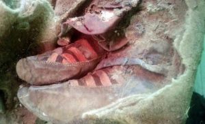 Scientists dig 6th century mummy in Mongolia wearing 'adidas'