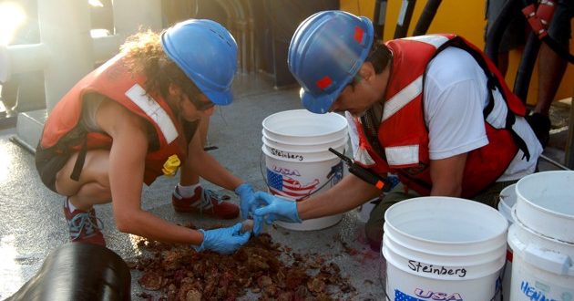 Scientists discover 600 mile long coral reef in Amazon River