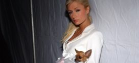 Actress Paris Hilton to star in a documentary about her life