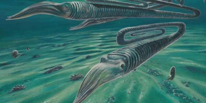 Ancient Antarctic fossils reveal creatures weren’t safer in the south