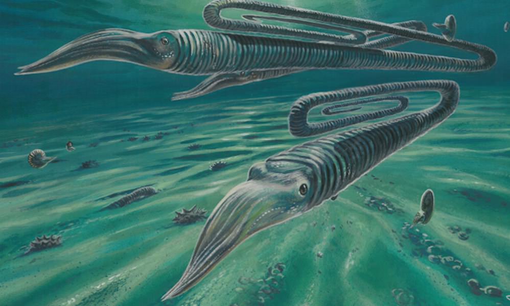 Ancient Antarctic fossils reveal creatures weren’t safer in the south