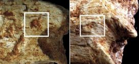 Archaeologists solve carnivorous killing of Moroccan Grotte a Hominids hominin