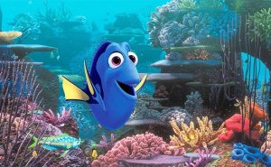 Finding Dory release could trigger further decline of clownfish populations, Study