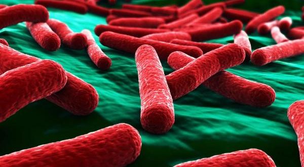 First case of bacteria in patient that's resistant to all known antibiotics reported in Pennsylvania