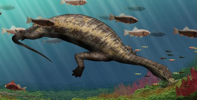 Hammerhead: This creature was ocean's first vegetarian reptile