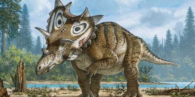 Judith: Researcher Discovers New Species Of Dinosaur In Montana