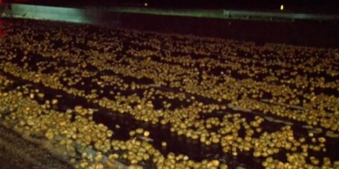 Potato spill shuts down North Carolina Interstate (Video)