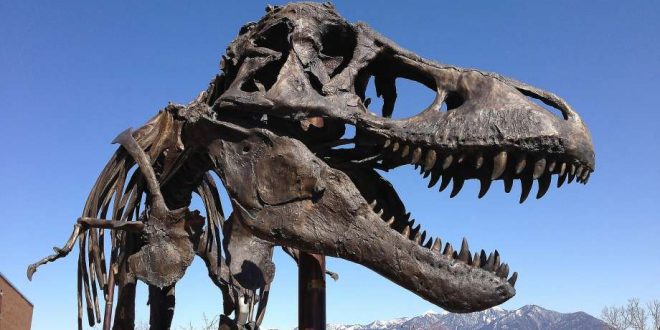 Tyrannosaurus Rex likely had lips, says Toronto paleontologist