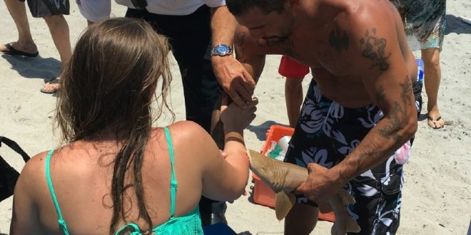 Woman bitten by shark in Boca Raton, gets attached to her arm