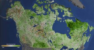 Arctic Getting Greener Due To Climate Change, according to NASA study