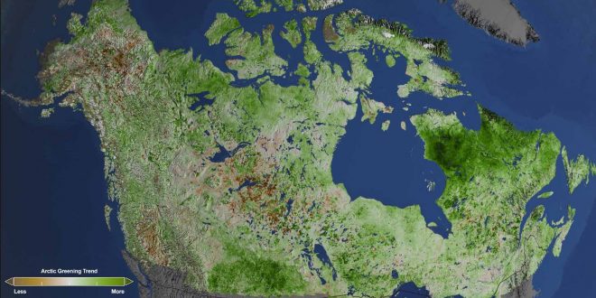 Arctic Getting Greener Due To Climate Change, according to NASA study