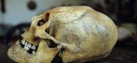 Deep Skull did not belong to Indigenous Australians, says new research