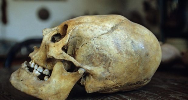 Deep Skull did not belong to Indigenous Australians, says new research