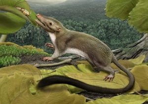 Mammals Nearly Went Extinct Along With the Dinosaurs, says new research