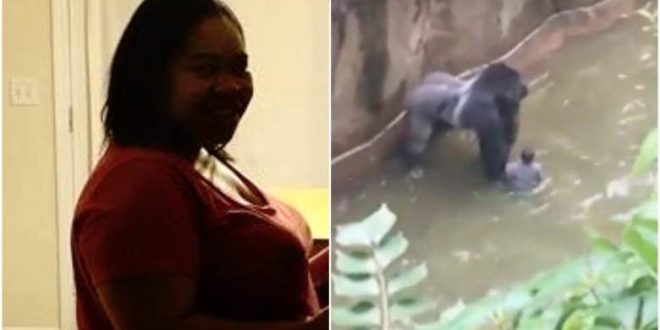 Michelle Gregg: No charges for mother of toddler who fell into gorilla cage