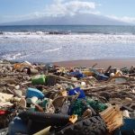 Plastic Dominates Hawaii Marine Debris, Survey finds