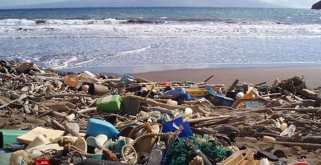Plastic Dominates Hawaii Marine Debris, Survey finds