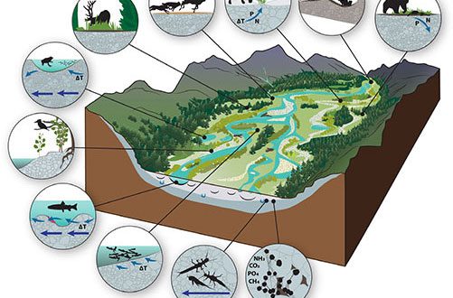 New Research Shows Importance of Gravel-Bed Rivers
