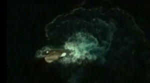Sea Monster Spotted On Google Earth Near Antartica (Video)