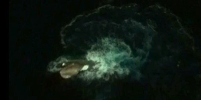 Sea Monster Spotted On Google Earth Near Antartica (Video)