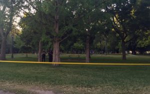 Tree branch kills man in popular Toronto park