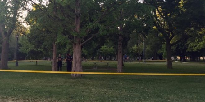 Tree branch kills man in popular Toronto park