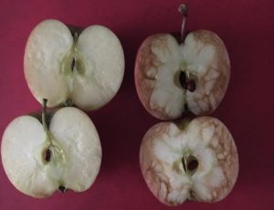 UK Teacher uses apples to demonstrate effects of bullying