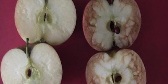 UK Teacher uses apples to demonstrate effects of bullying