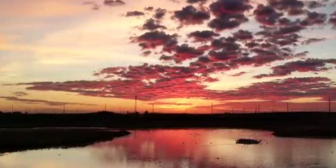 Alberta residents wonder about disappearing wetland (Video)