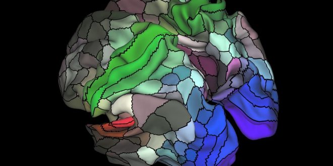Brain map identifies 97 previously unknown regions, says new study