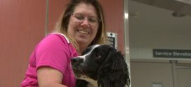 Detection dog sniffs out superbug in Vancouver hospital
