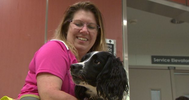 Detection dog sniffs out superbug in Vancouver hospital