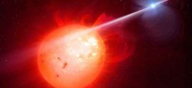 Exotic White Dwarf strikes companion star with high-energy pulse