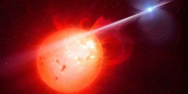 Exotic White Dwarf strikes companion star with high-energy pulse