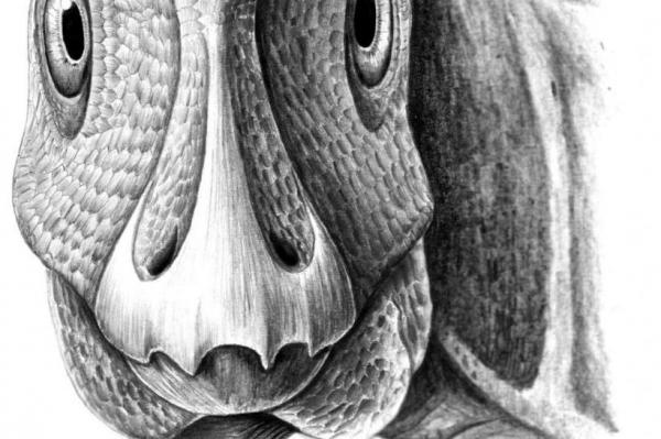 First fossil facial tumor discovered in dinosaur, says new study ...