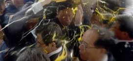 Hwang Kyo-ahn: South Korean prime minister pelted with eggs by protesters