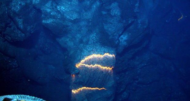 Luca is the Oldest Ancestor of All Living Things on Earth, new research