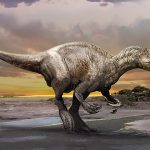 Meet Murusraptor: New 'Giant Thief' dinosaur discovered