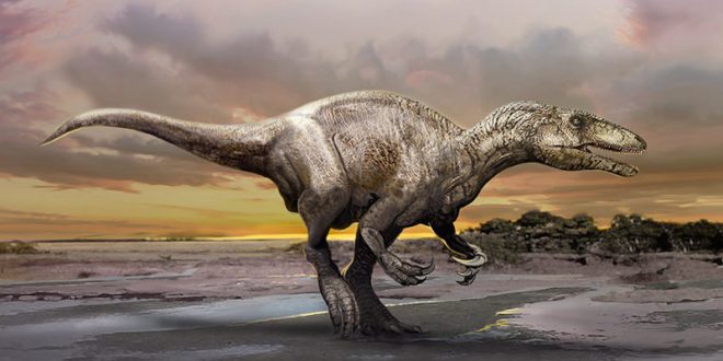 Meet Murusraptor: New ‘Giant Thief’ dinosaur discovered