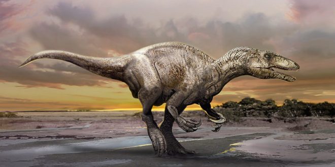 Meet Murusraptor: New 'Giant Thief' dinosaur discovered