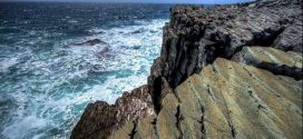 Mistaken Point named UNESCO World Heritage Site, Report