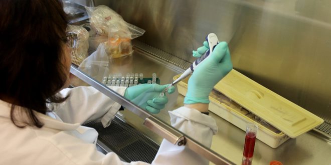 Scientists get go-ahead to begin testing Zika vaccine on humans