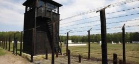 Concentration camp suspects identified, Report