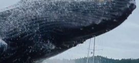 Humpback whale breach stuns kayakers (Video)