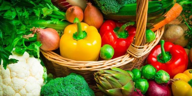 New Research Shows Veg Diet Reduces Mortality and Heart Disease