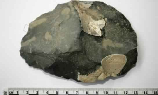 Researchers uncover oldest evidence of protein residue on stone tools