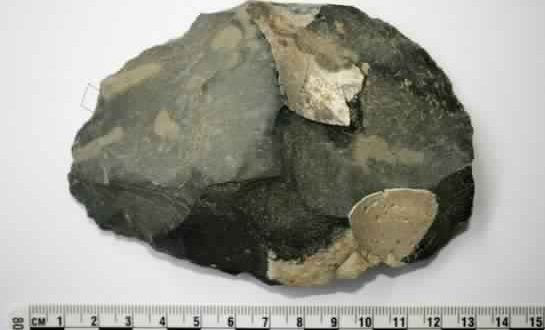 Scientists uncover oldest evidence of protein residue on stone tools