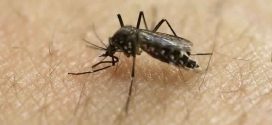 Three Zika Cases Have Been Confirmed In Pregnant Illinois Women