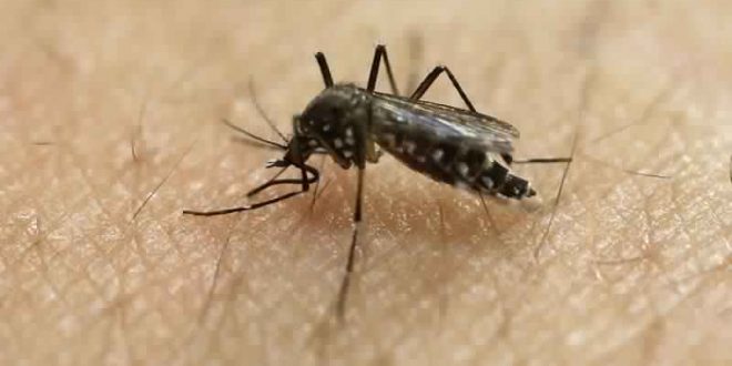 Three Zika Cases Have Been Confirmed In Pregnant Illinois Women