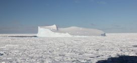 Toxic Mercury Found In Antarctic Sea Ice, Says New Research